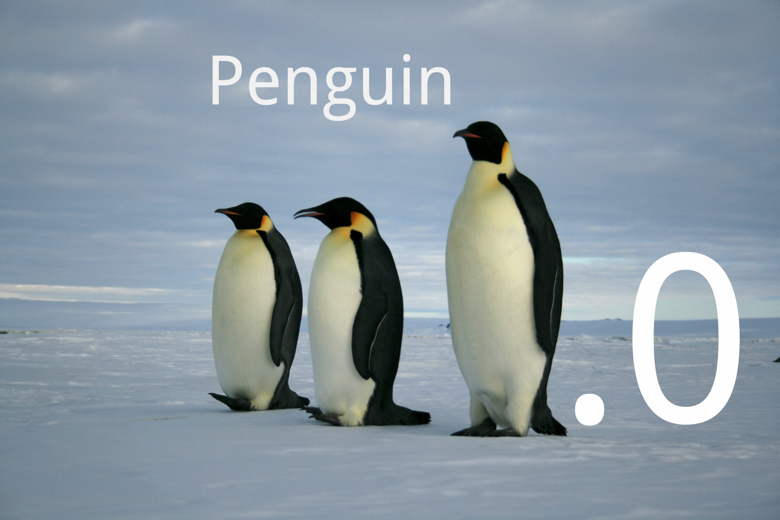 Penguin 3.0 Update Confirmed: Here’s What You Should Know