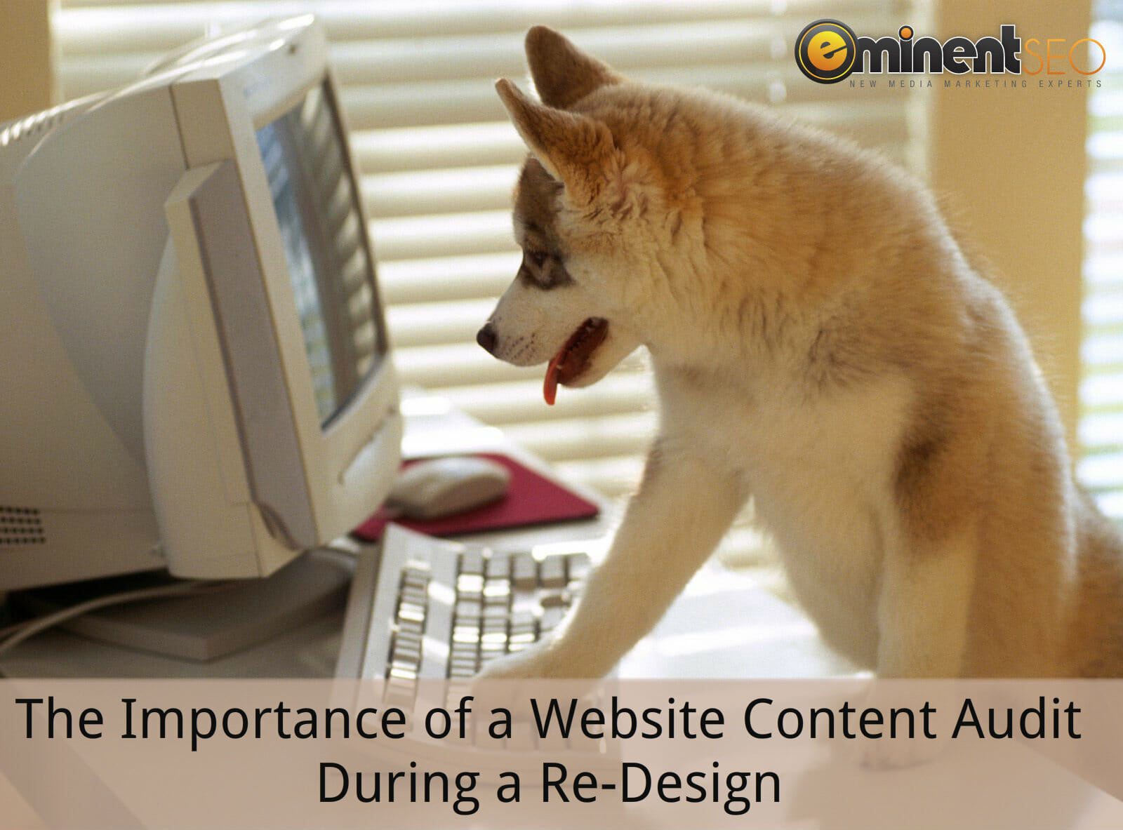 The Importance of a Website Content Audit During a Re-Design and How to Do It