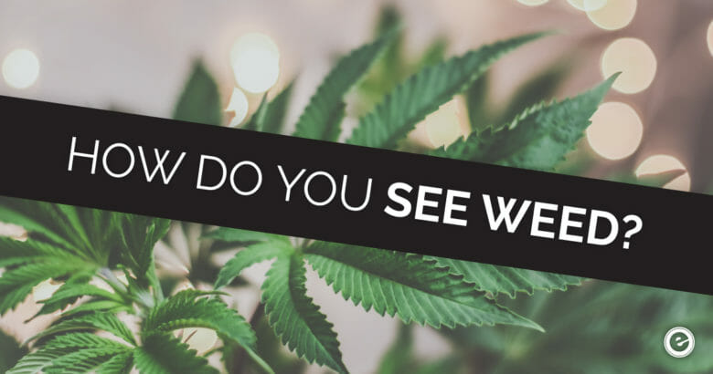 Green Marketing And The Perception Of Marijuana